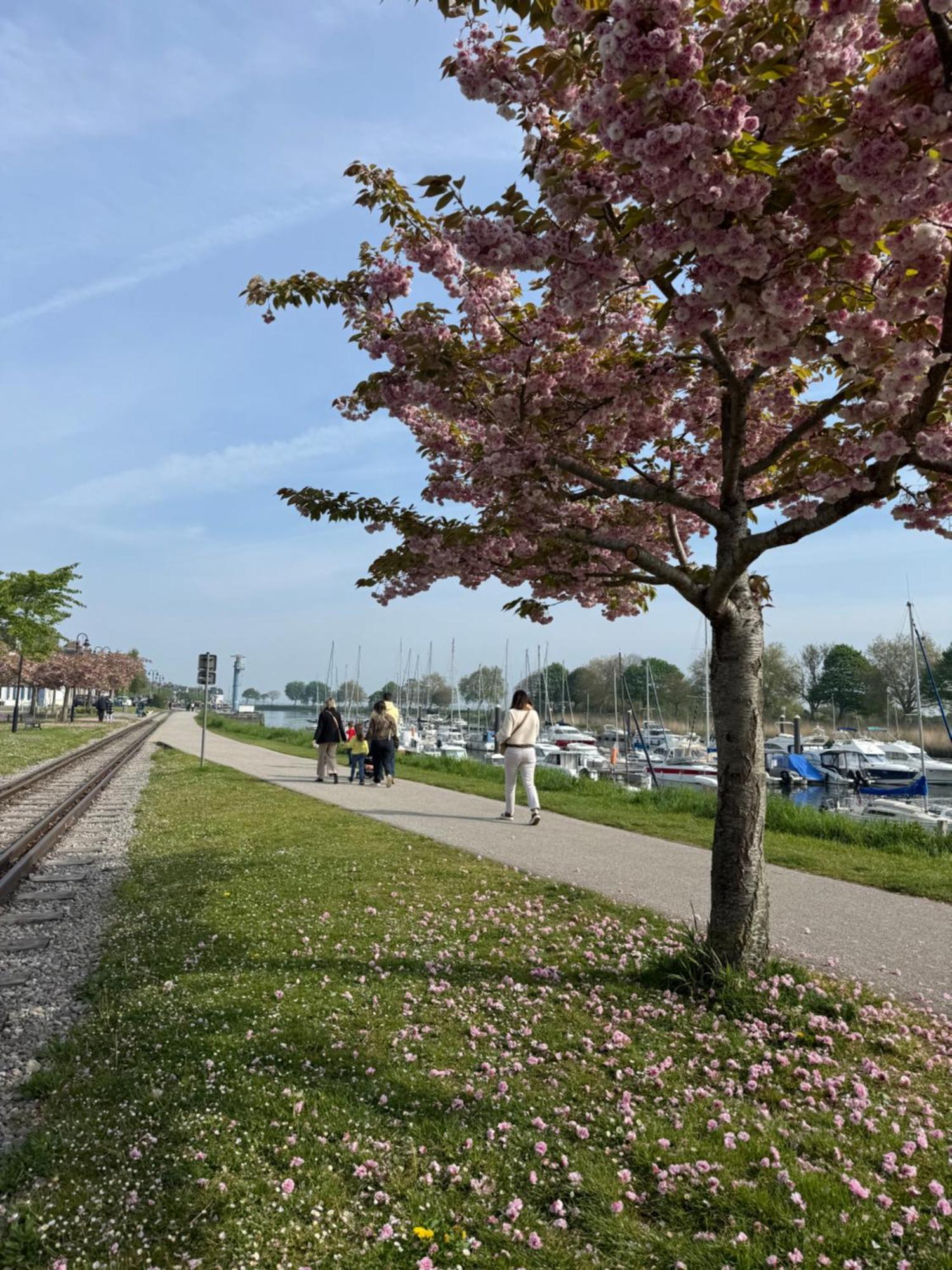 Gite Du Flot - Baie De Somme Boismont  Exterior photo